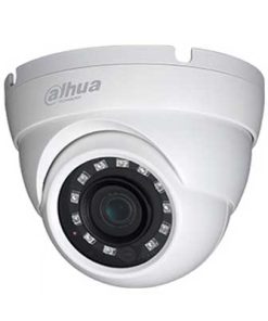 Camera Dome IP Starlight 2MP Dahua IPC-HDW4231MP