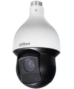 Camera IP quay quét 2.0MP Dahua SD59220T-HN