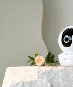 Trang Chủ 137 Camera Wifi 4MP iMOU IPC-A43P (Ranger RC)